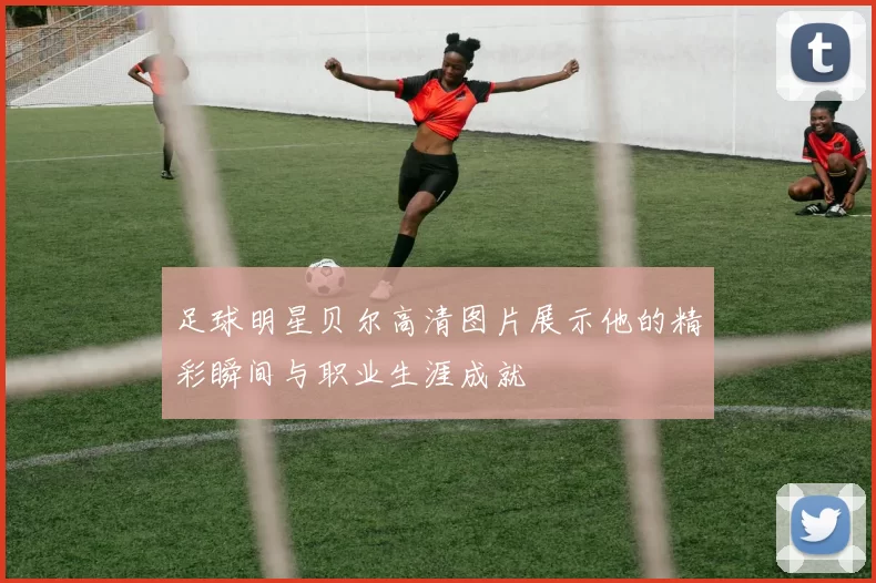 足球明星贝尔高清图片展示他的精彩瞬间与职业生涯成就
