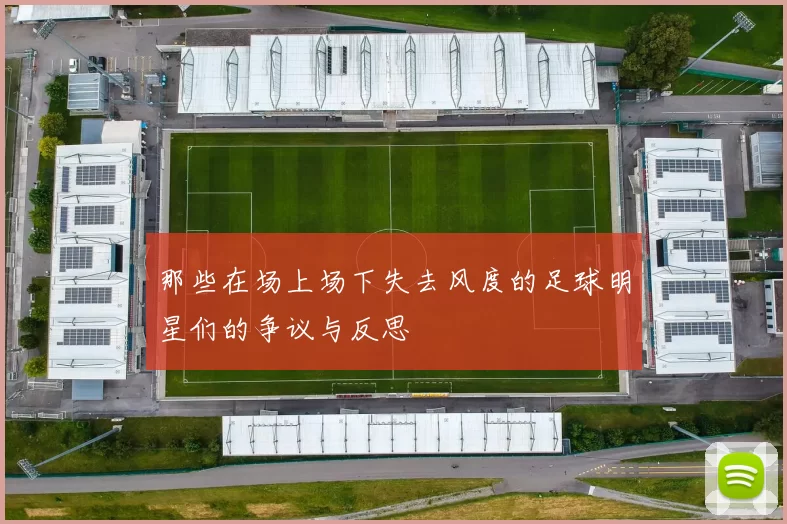 那些在场上场下失去风度的足球明星们的争议与反思