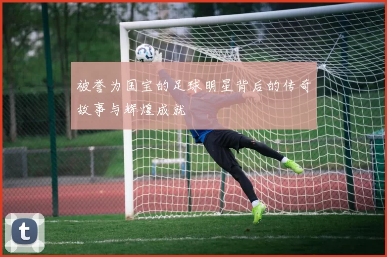 被誉为国宝的足球明星背后的传奇故事与辉煌成就