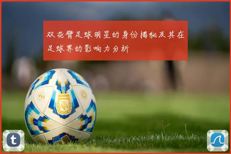 双花臂足球明星的身份揭秘及其在足球界的影响力分析