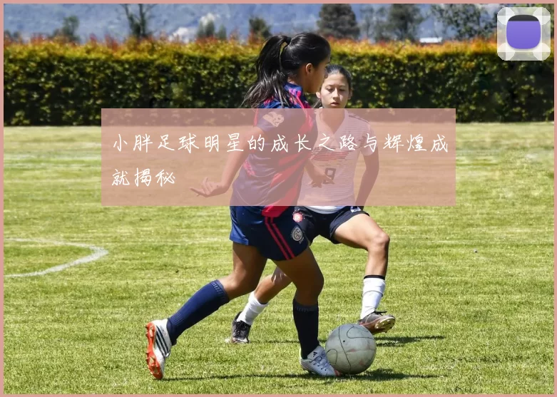 小胖足球明星的成长之路与辉煌成就揭秘