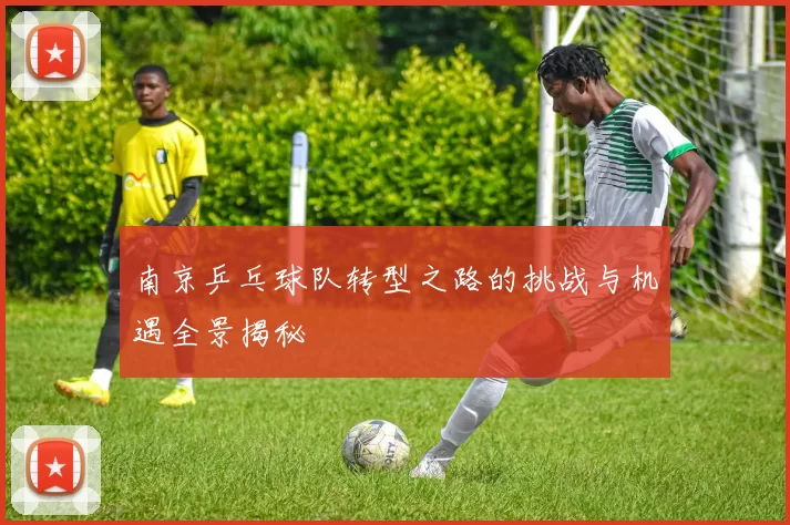 南京乒乓球队转型之路的挑战与机遇全景揭秘