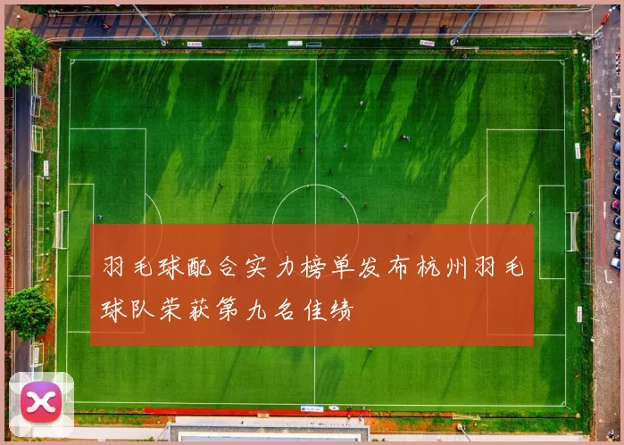羽毛球配合实力榜单发布杭州羽毛球队荣获第九名佳绩