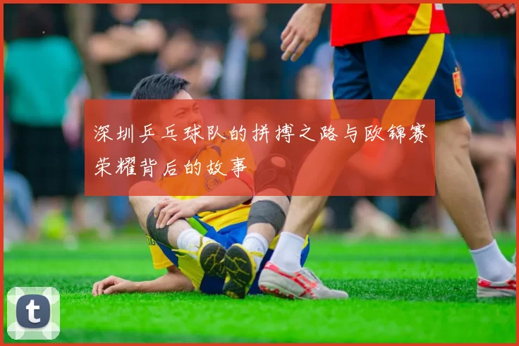 深圳乒乓球队的拼搏之路与欧锦赛荣耀背后的故事