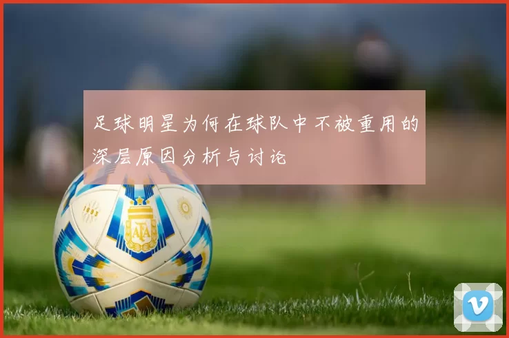 足球明星为何在球队中不被重用的深层原因分析与讨论