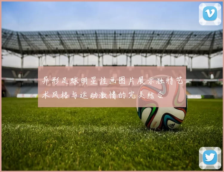 异形足球明星挂画图片展示独特艺术风格与运动激情的完美结合