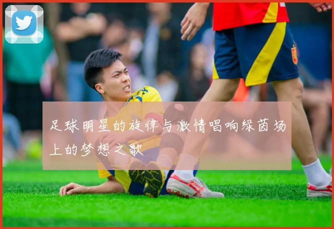 足球明星的旋律与激情唱响绿茵场上的梦想之歌