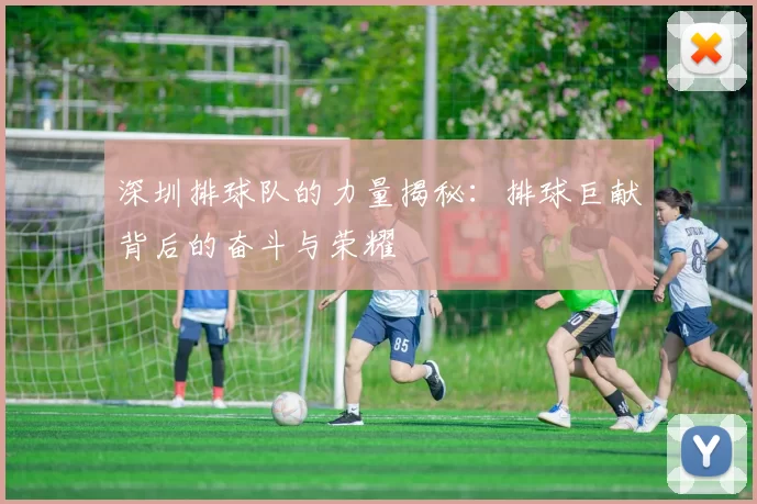深圳排球队的力量揭秘：排球巨献背后的奋斗与荣耀