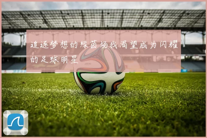追逐梦想的绿茵场我渴望成为闪耀的足球明星