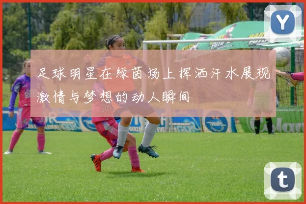 足球明星在绿茵场上挥洒汗水展现激情与梦想的动人瞬间