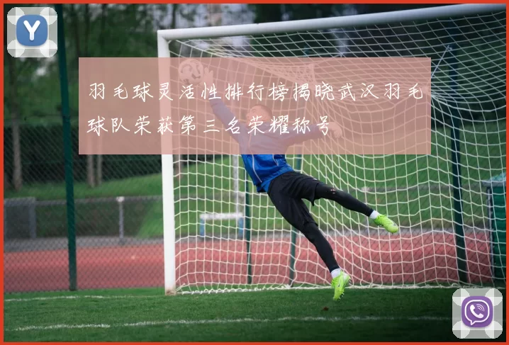 羽毛球灵活性排行榜揭晓武汉羽毛球队荣获第三名荣耀称号