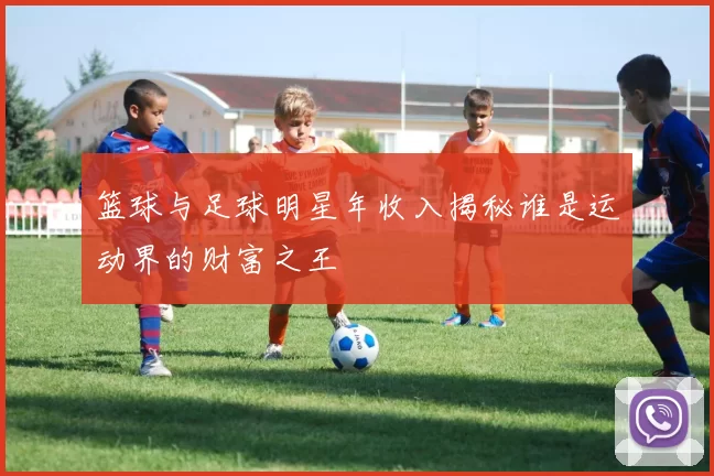 篮球与足球明星年收入揭秘谁是运动界的财富之王