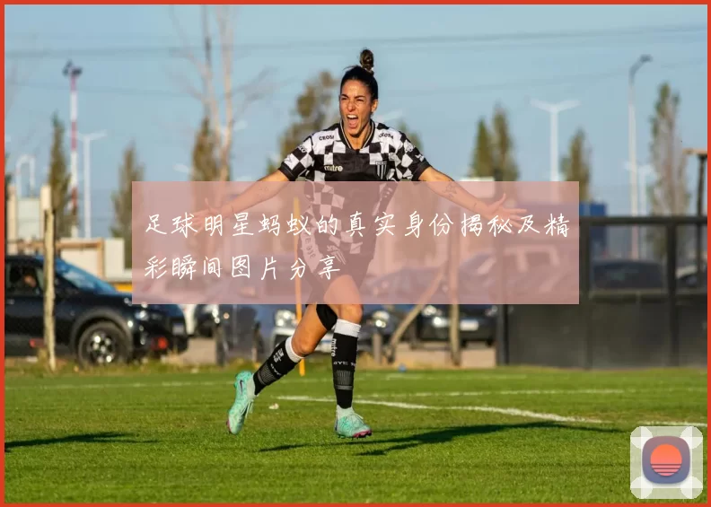 足球明星蚂蚁的真实身份揭秘及精彩瞬间图片分享